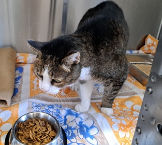 Fundkater 01.11. Fundkater 01.11.